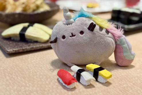 Unicornio Pusheen coming with us to sushi