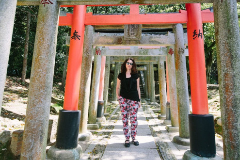 Exploring the many torii (gates) of Fushimi Inari