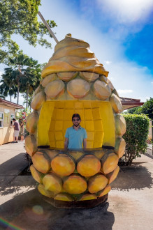 There's always money in the pineapple stand.