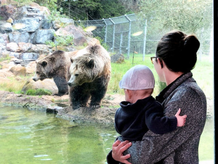 Meeting Tycho's bear friends on our first trip to the zoo