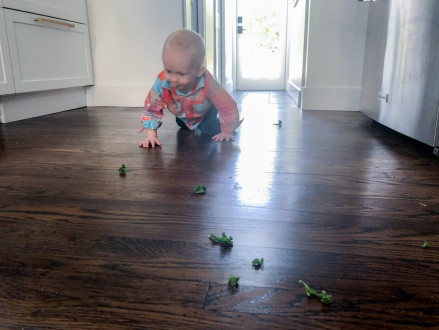 When the only way to distract your baby is floor kale....