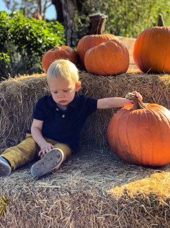 "Mom.. the pumpkins are going away? Why, Mom?"