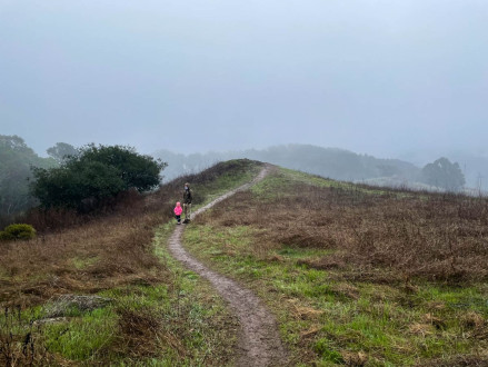 Finding new trails in the fog