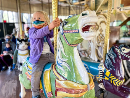 Z is for Zebra! and horses and cats etc etc on the carousel