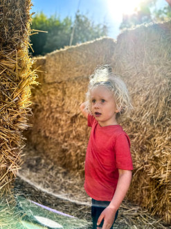 Lost in the hay maze at the zoo