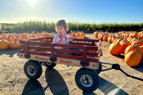 Visiting the pumpkin patch in Half Moon Bay