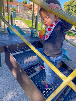 Nova went to the playground and learned how to climb stairs and sign train in about 20 minutes :)