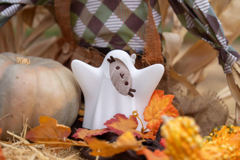 And the pumpkin patch. Boo!