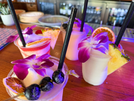 "Tropical" drinks for the pool!