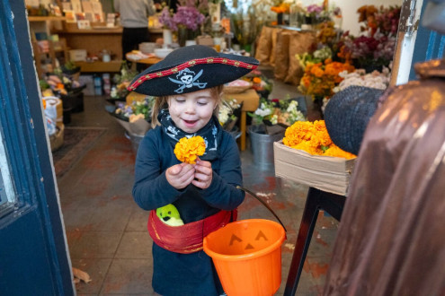 Flower shop had candy and marigolds :)